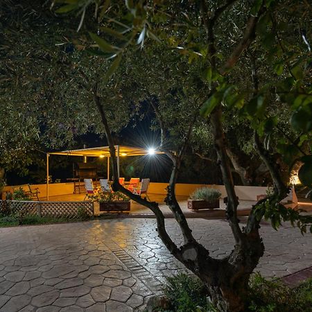 Vasiliki Apartments Трагакі Екстер'єр фото